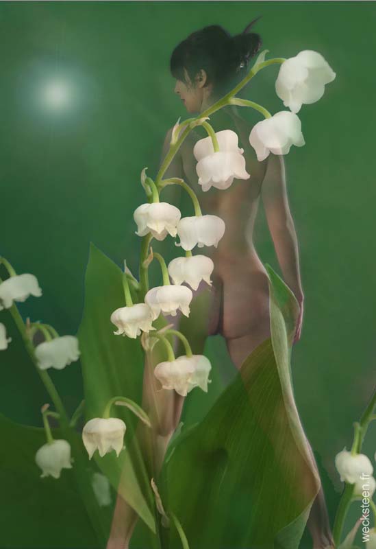 MUGUET